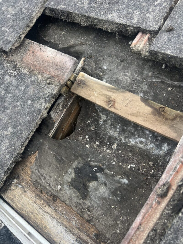 ROTTEN FELT